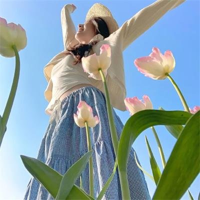 尼克·弗瑞:神盾局特工